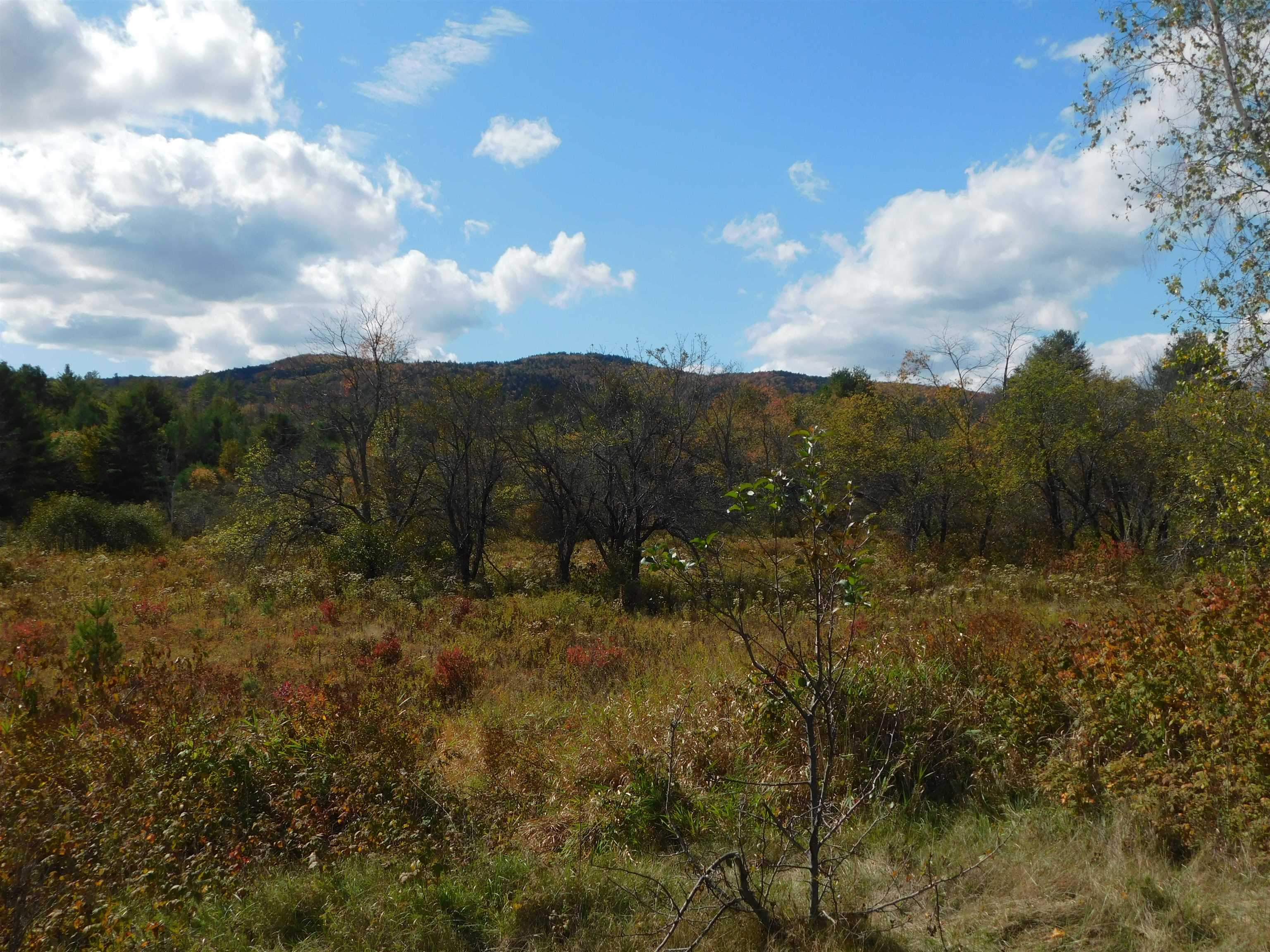 31 Hoyt Road Grafton, NH 03240 - Photo 10 of 38 Gallery Image 10