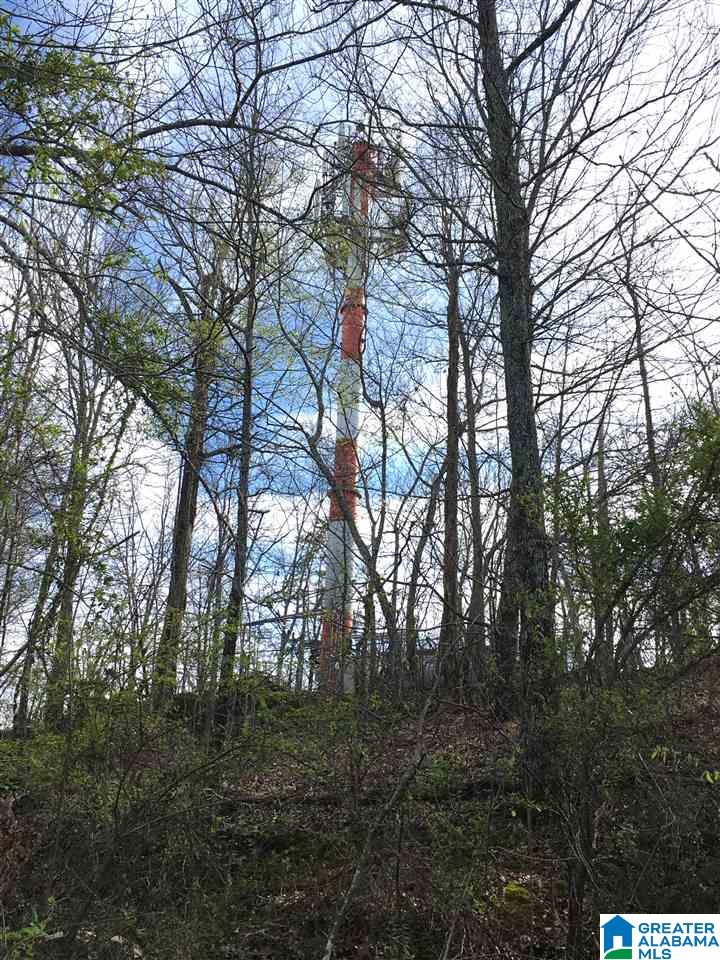 230 County Line Road Oxford, AL 36203 - Photo 34 of 50