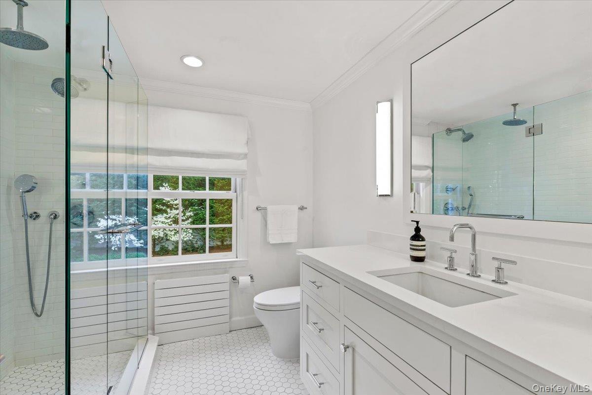 4 Martin Road Rye, NY 10580 - Photo 19 of 28 a bathroom with a sink a toilet and shower
