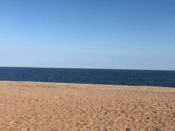 a black and white photo of a house