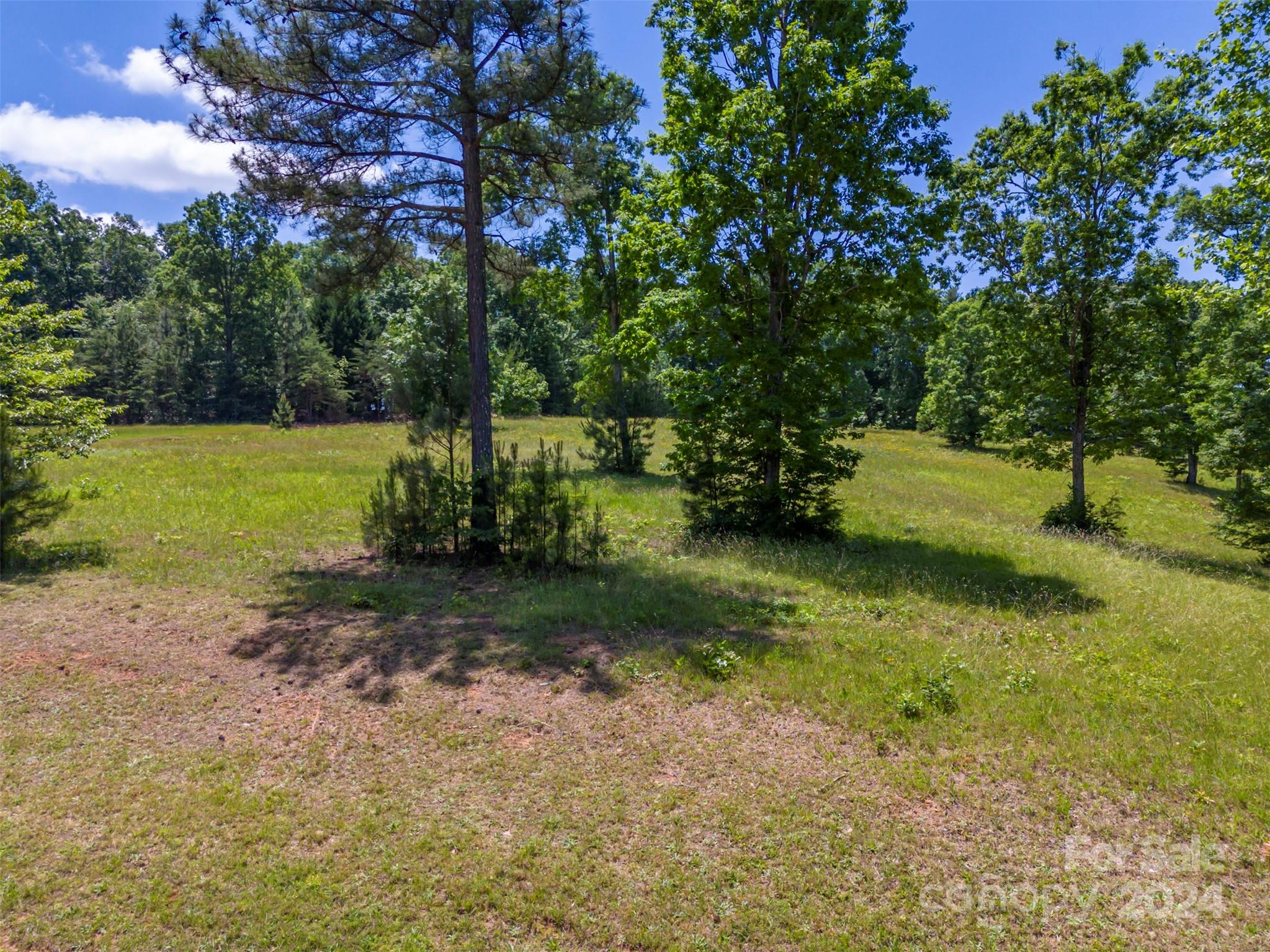Lot 36 Mapleton Lane Columbus, NC 28722 - Photo 5 of 17 a view of a yard with a tree