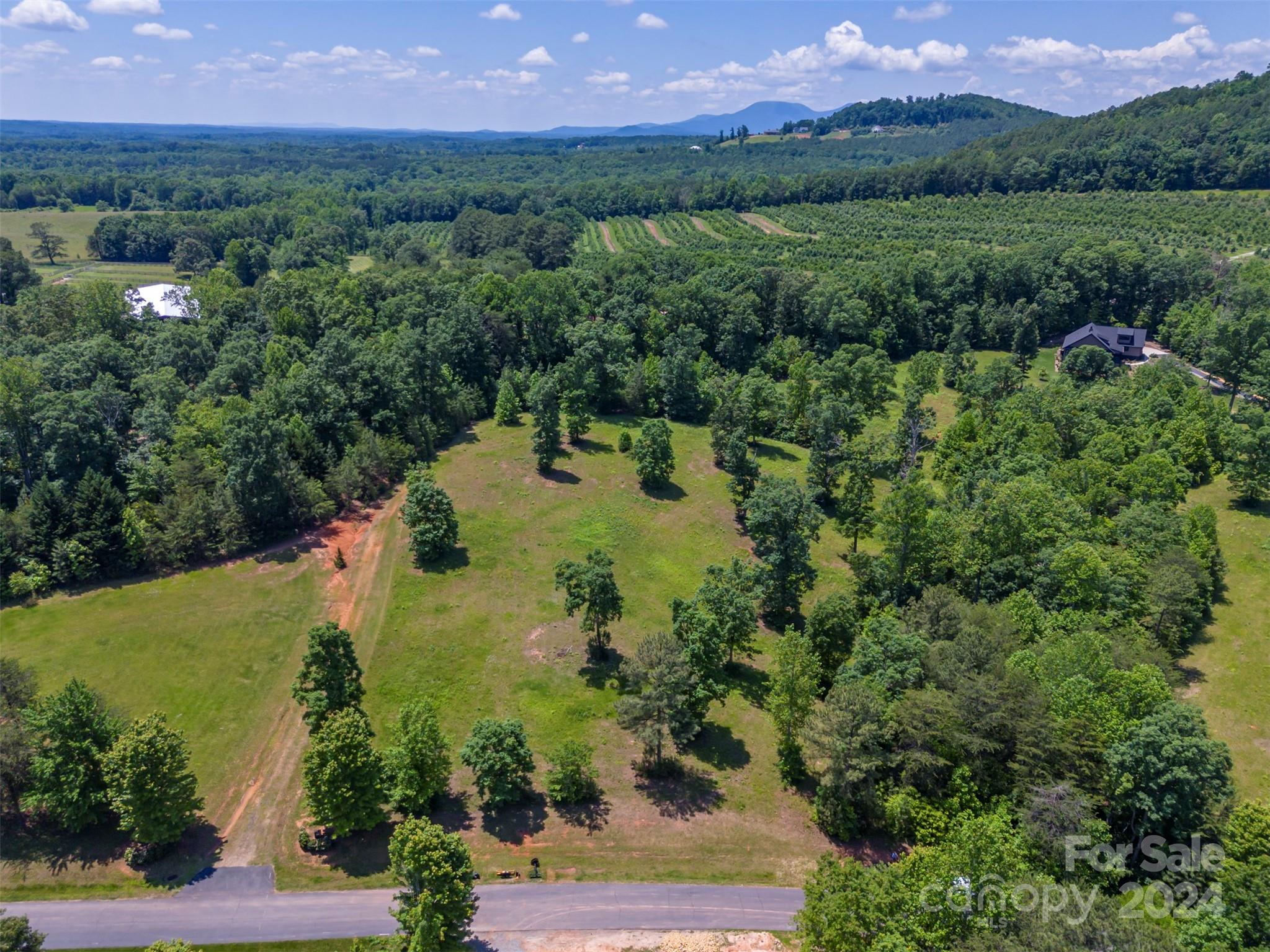 Lot 36 Mapleton Lane Columbus, NC 28722 - Photo 8 of 17 an aerial view of a houses with a yard and lake view