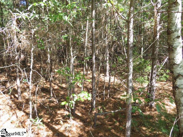 Mcneely Road Liberty, SC 29657 - Photo 2 of 6