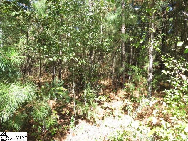 Mcneely Road Liberty, SC 29657 - Photo 3 of 6