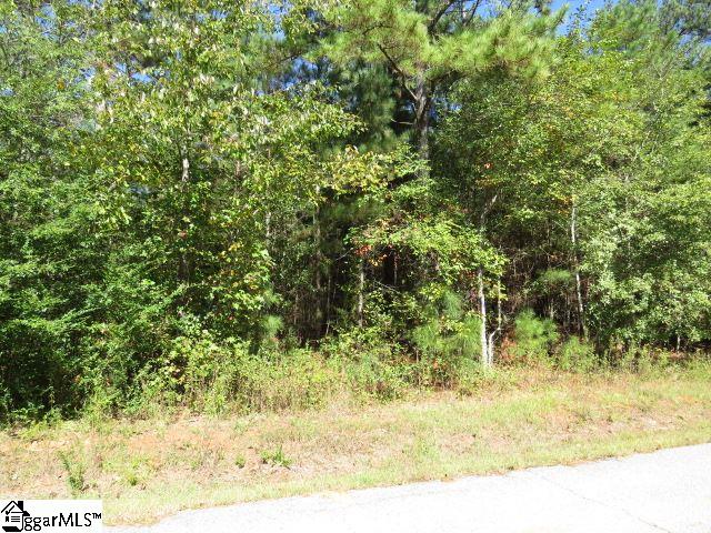 Mcneely Road Liberty, SC 29657 - Photo 4 of 6