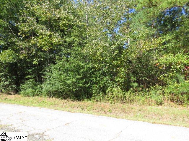 Mcneely Road Liberty, SC 29657 - Photo 5 of 6