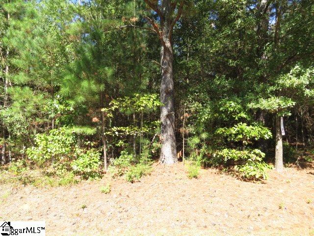 Mcneely Road Liberty, SC 29657 - Photo 6 of 6
