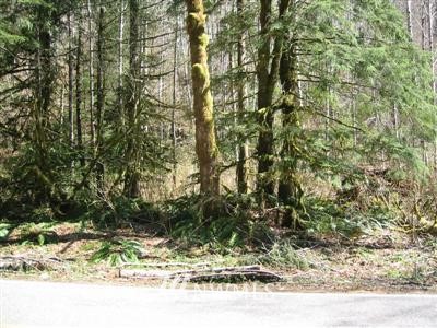 21 Index-Galena Road Index, WA 98256 - Photo 1 of 1 Gallery Image 1