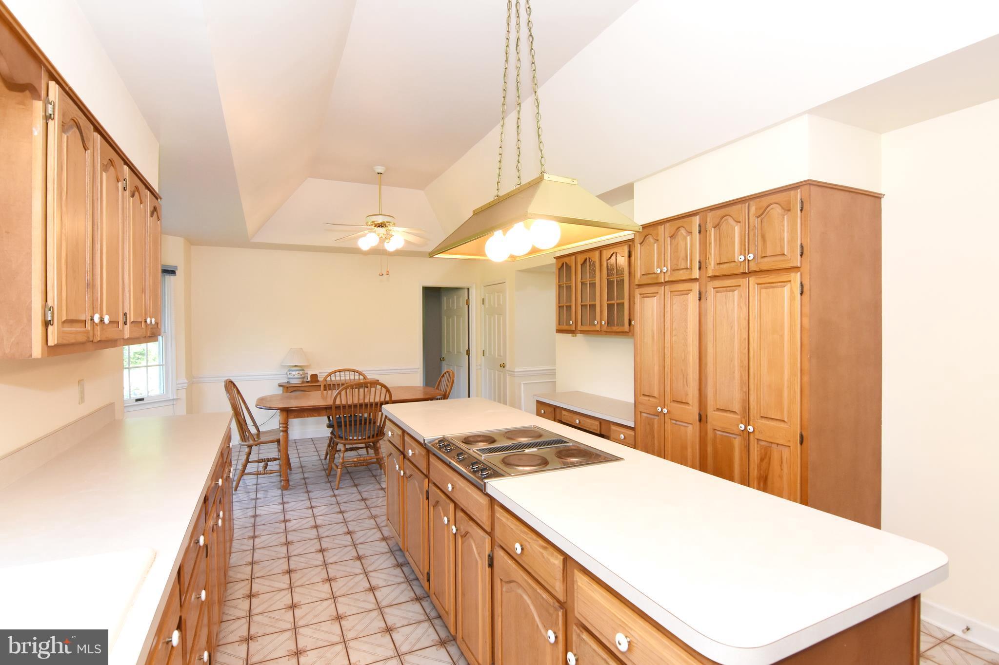 3 Poplar Point Road Edgewater, MD 21037 - Photo 16 of 30 Center Cooktop Island / Dramatic Tray Ceiling