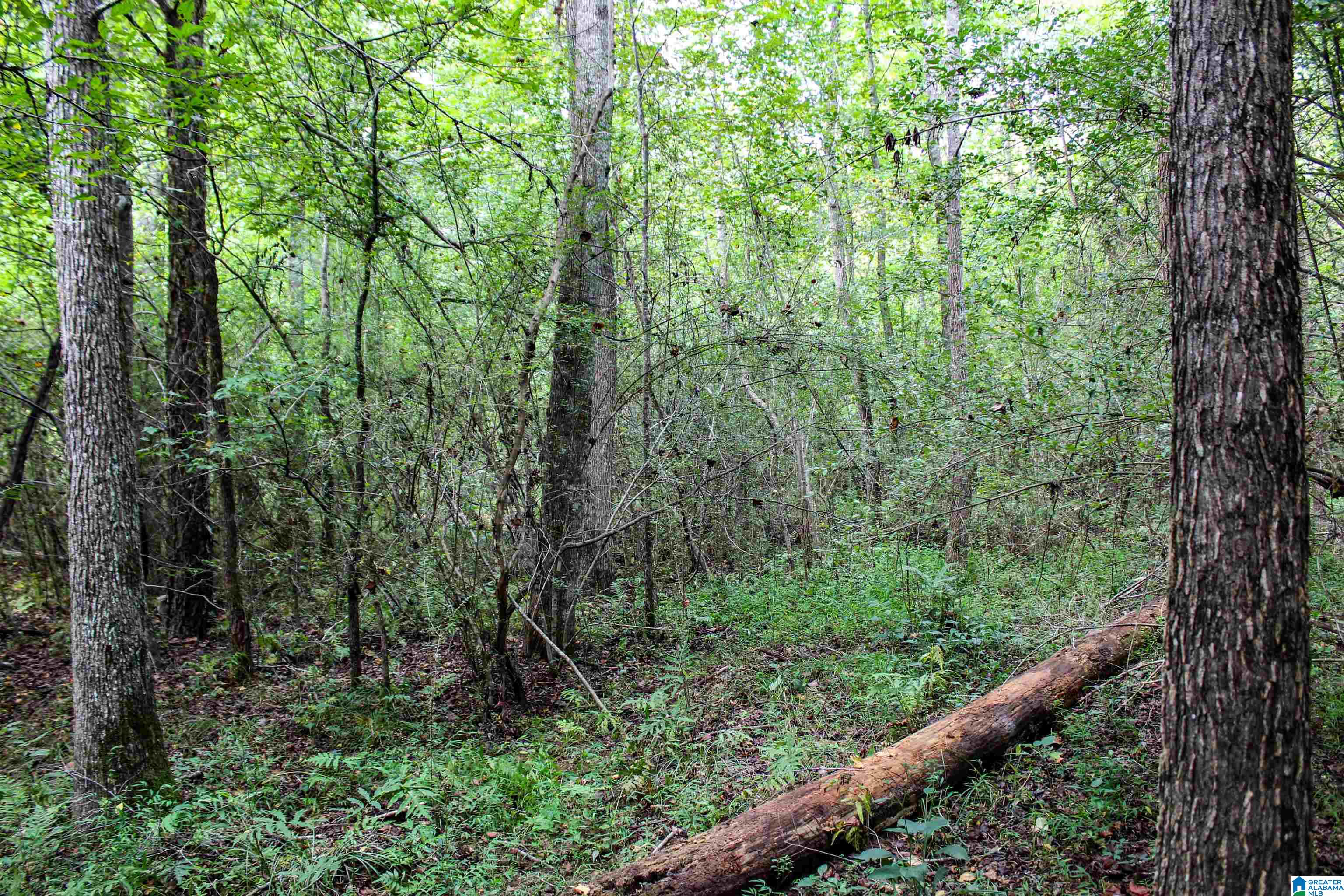 1 Highway 13, Unit 1 Berry, AL 35546 - Photo 25 of 52