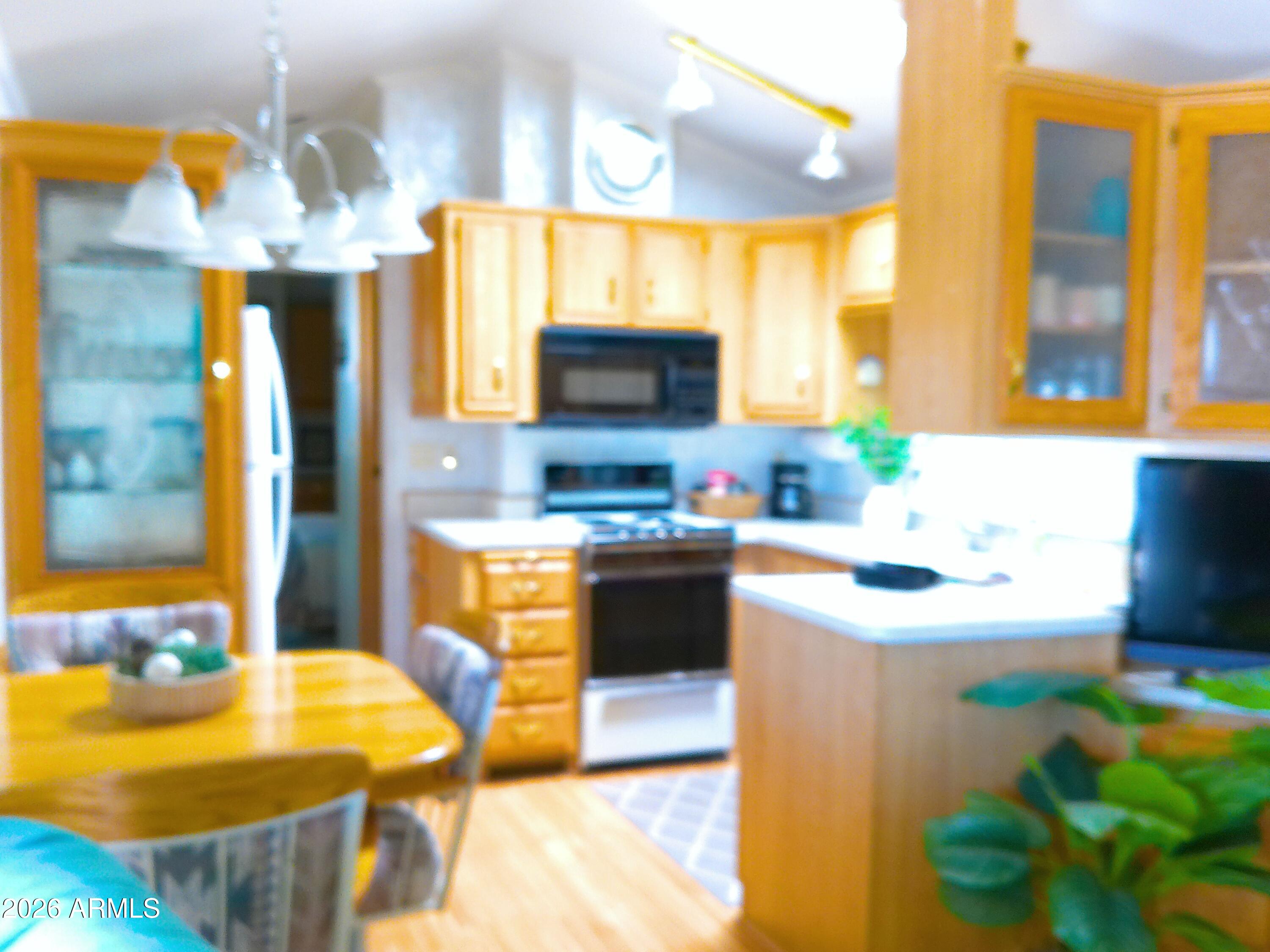 3710 South Goldfield Road Apache Junction, AZ 85119 - Photo 8 of 14 ANMP0077