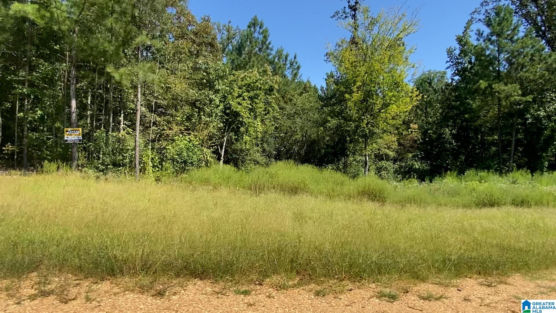 50 Scenic Valley Road, Unit TRACT 3 Springville, AL 35146 - Photo 7 of 10