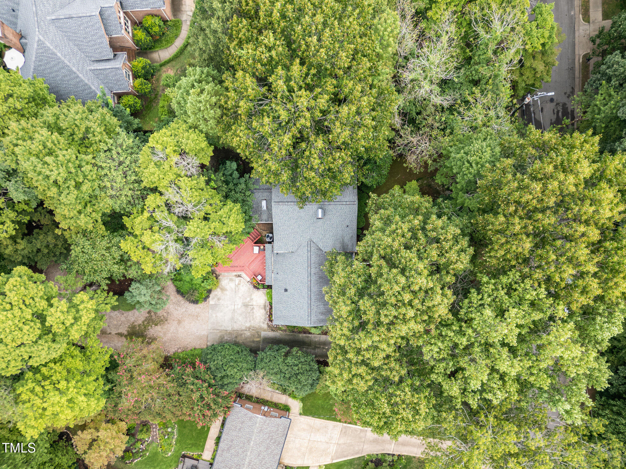 4113 Glen Laurel Drive Raleigh, NC 27612 - Photo 20 of 23 a view of a garden with plants