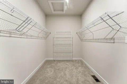 a view of a park with large trees