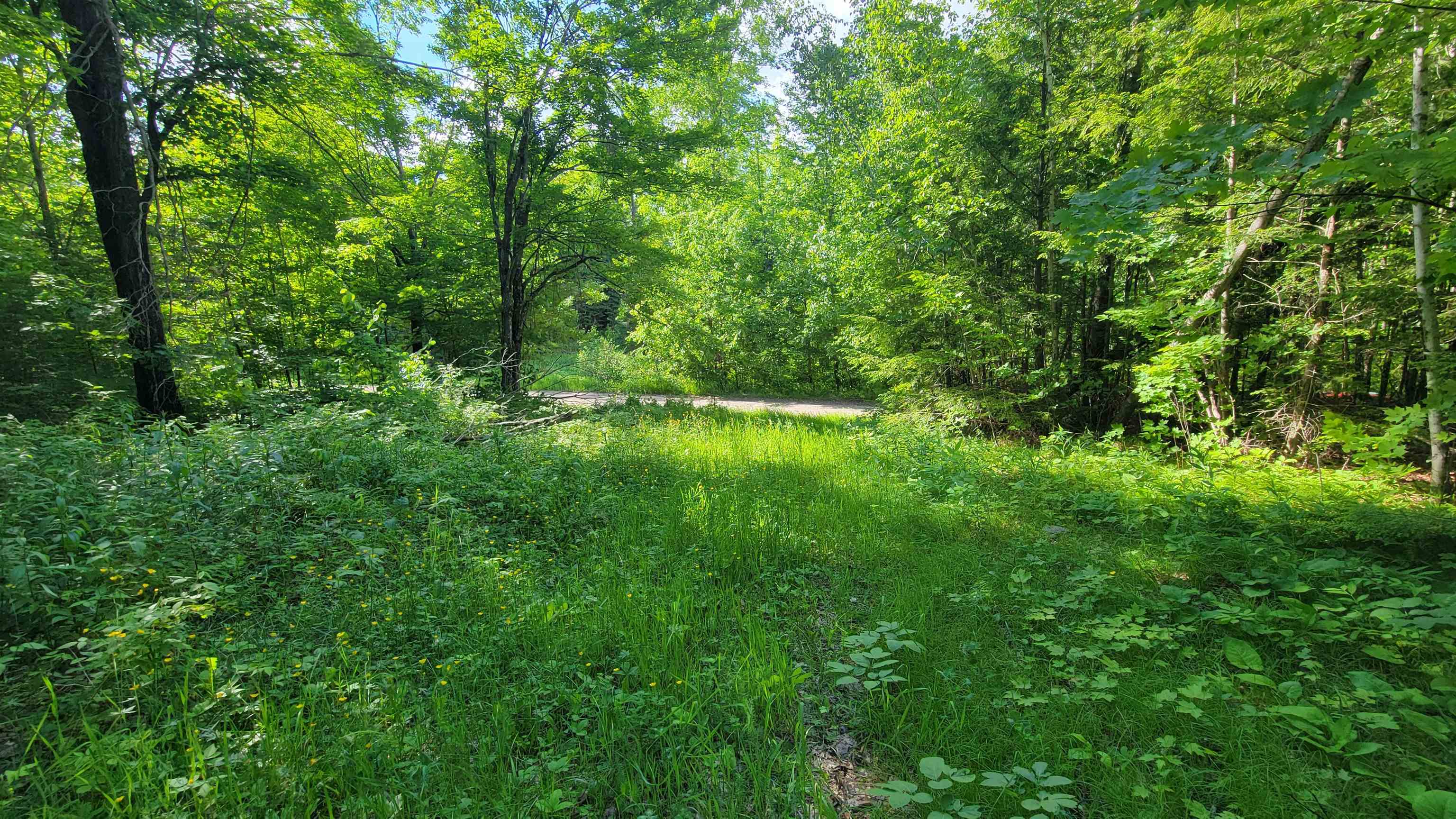 On Hunting River Road Summit Lake, WI 54485 - Photo 7 of 10