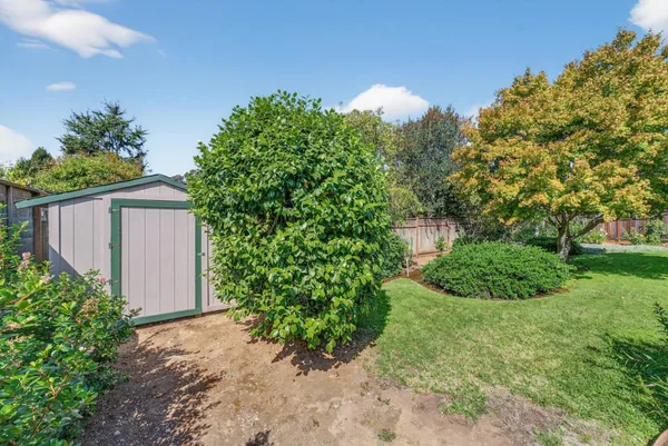 a view of a back yard with plants and a large tree