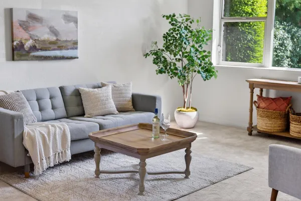 a living room with furniture and a potted plant