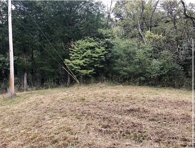 0 West Poplar Bluff Road Auburntown, TN 37016 - Photo 4 of 4