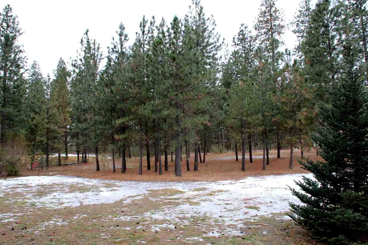 4708 East Silver Pine Road Colbert, WA 99005 - Photo 19 of 20