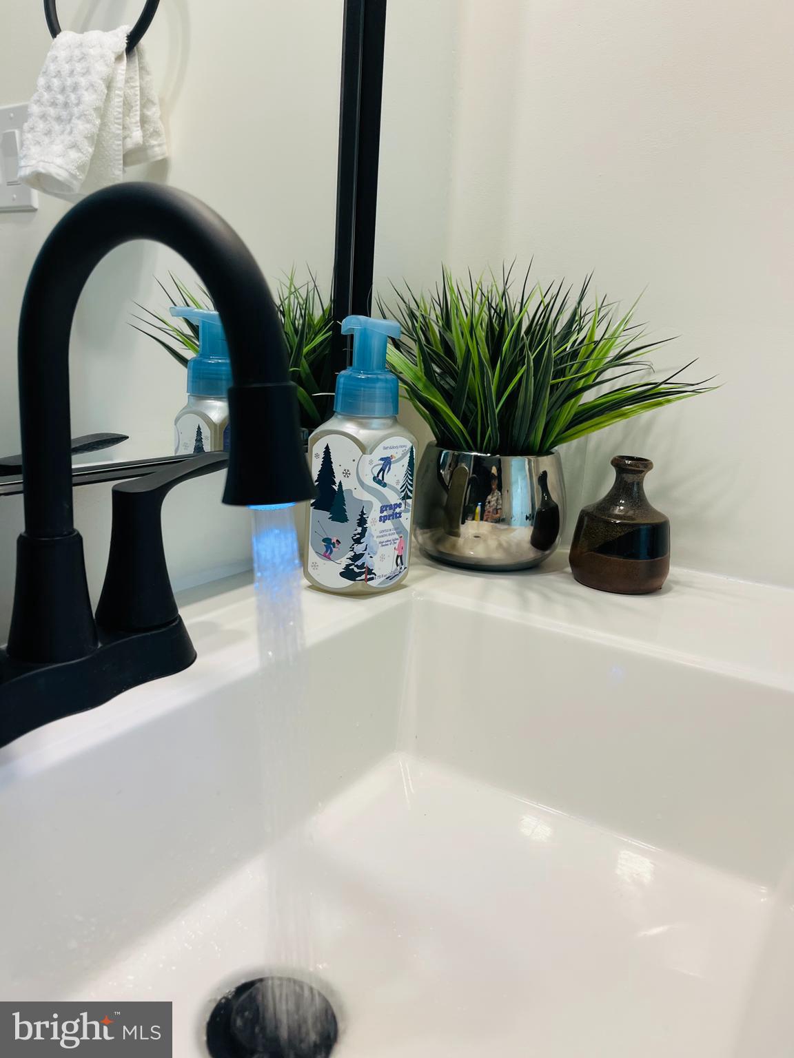 21009 Timber Ridge Terrace, Unit 203 Ashburn, VA 20147 - Photo 16 of 38 2nd Bathroom
