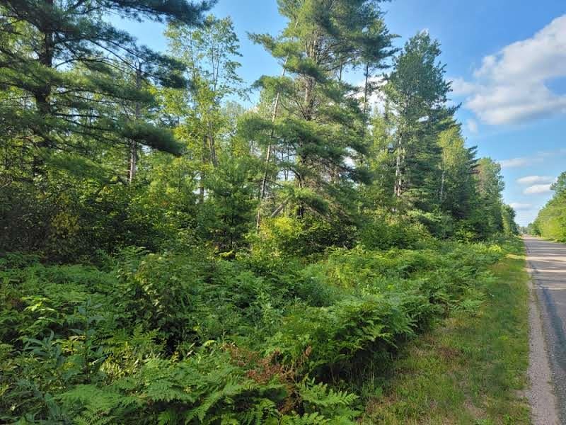 On Loon Lake Road, Unit LOT 9 Eagle River, WI 54521 - Photo 4 of 10 Gallery Image 4