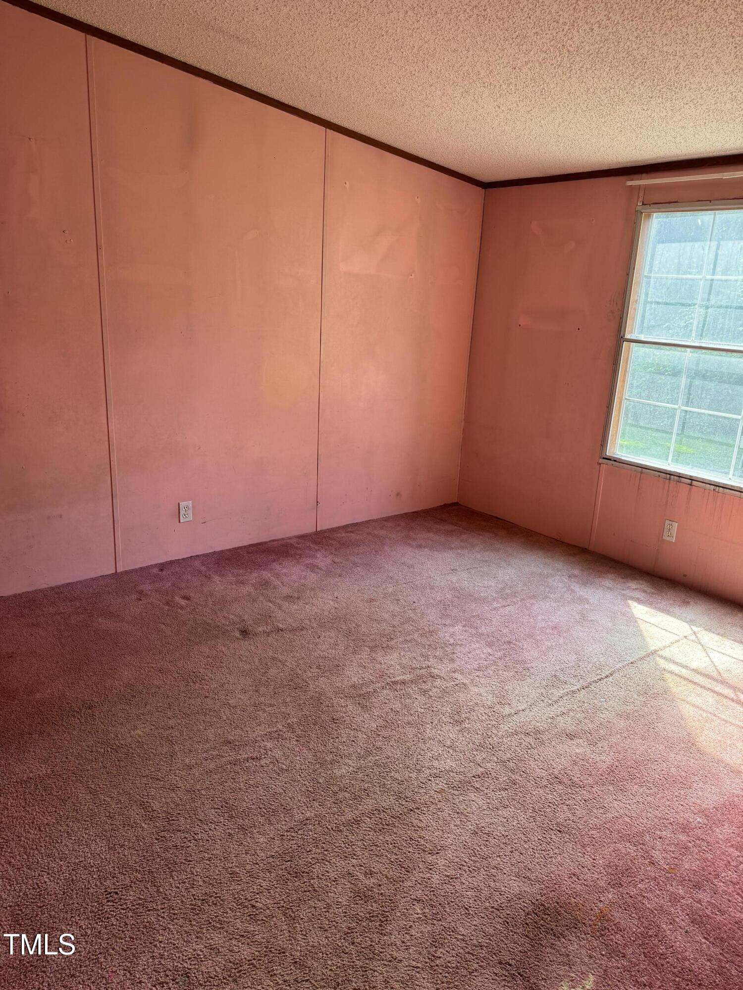 137 Williamson Farm Road Dudley, NC 28333 - Photo 13 of 26 Bedroom 2