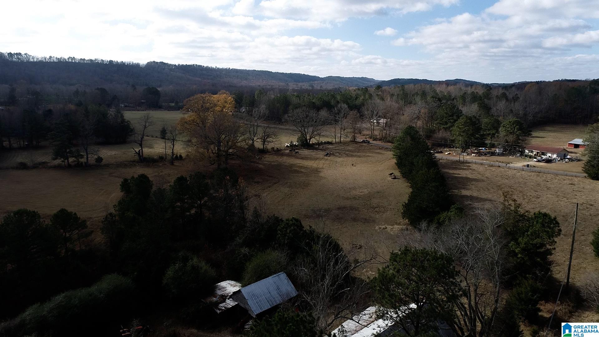 132 Highway, Unit 6 Oneonta, AL 35121 - Photo 4 of 20
