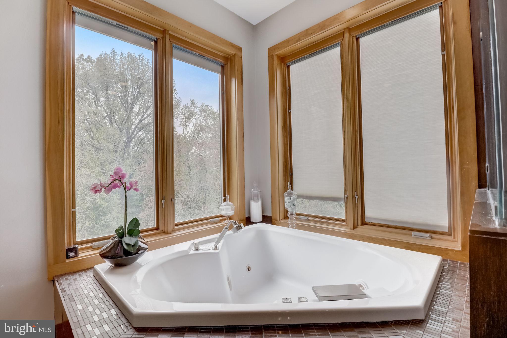 1617 Kirby Road McLean, VA 22101 - Photo 43 of 86 PRIMARY EN SUITE