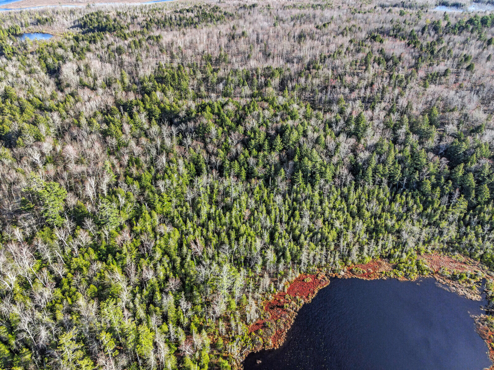 19 B Long Acres Road Mount Vernon, ME 04352 - Photo 10 of 39 BOG