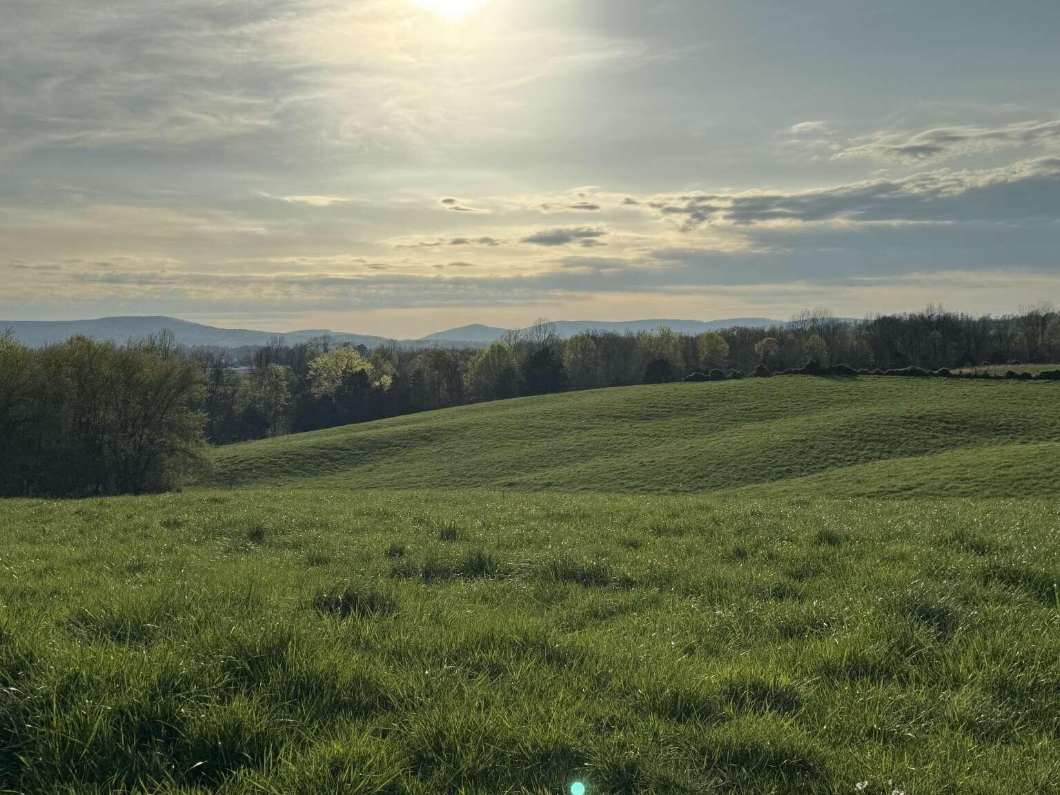 11111 Simpson Branch Road Monticello, KY 42633 - Photo 1 of 6 Purvis.1
