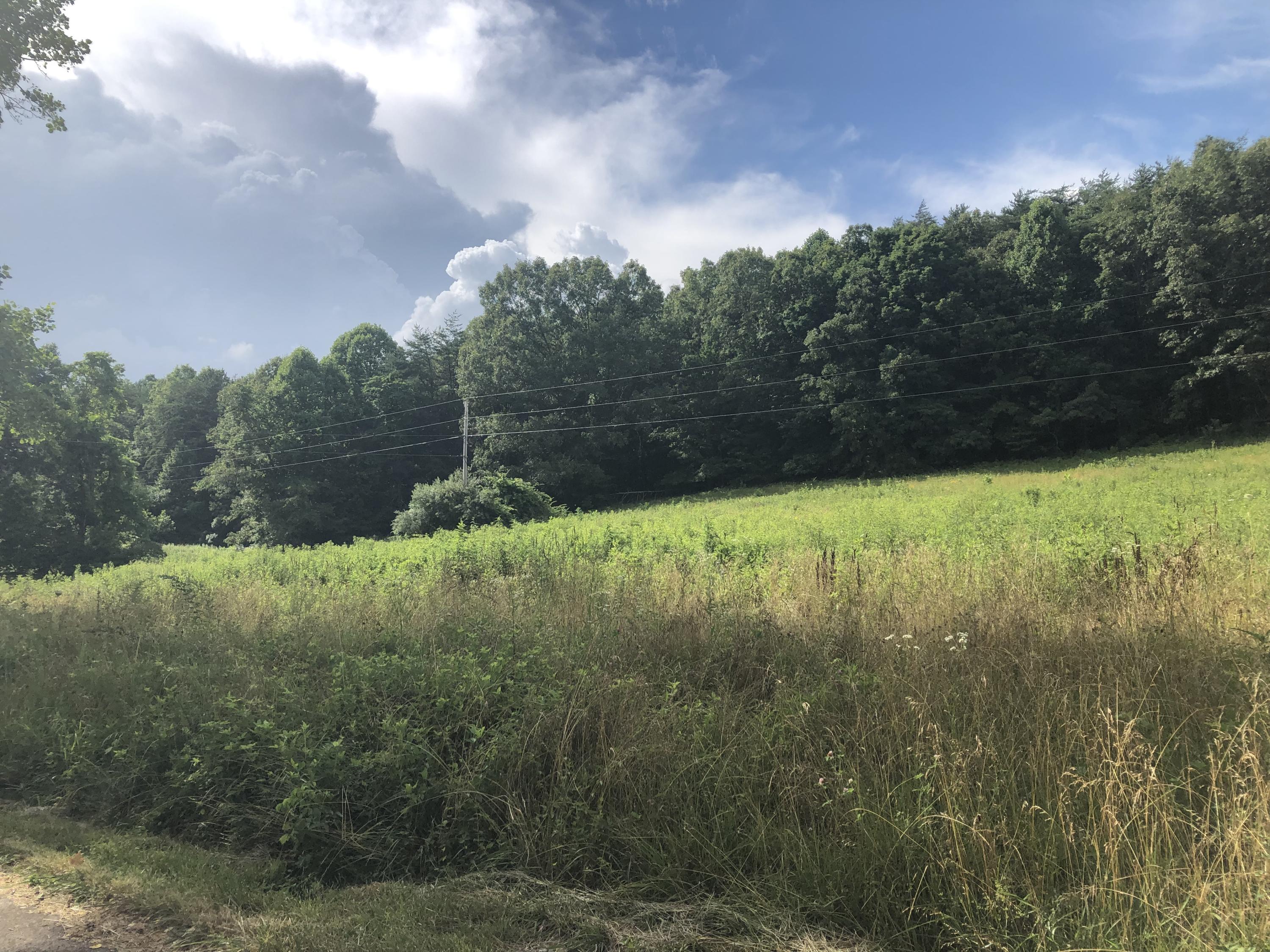 0 Cave Branch Road Campton, KY 41301 - Photo 3 of 10 D8A01F35-BB60-431A-BA67-E68D700A19DA