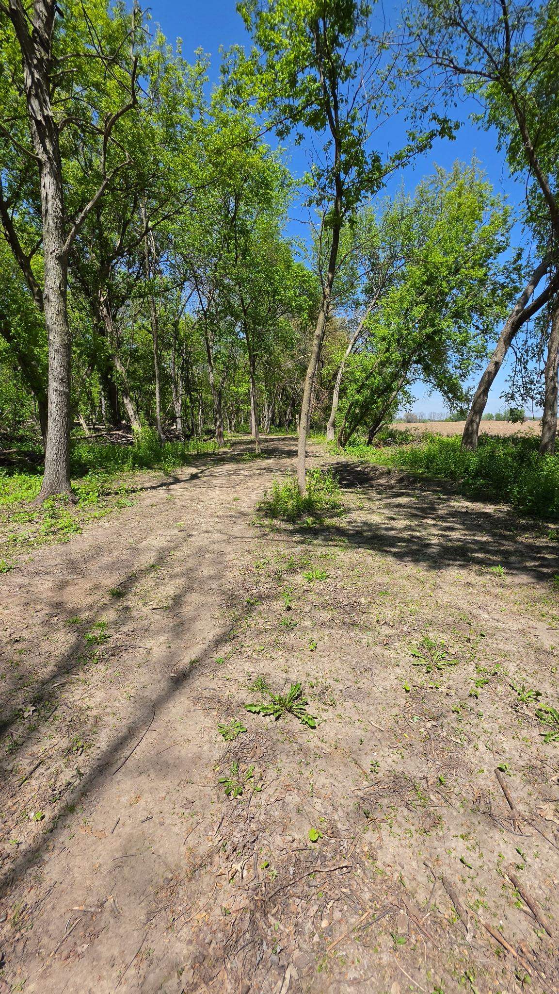 11218 North Crocker Road Brooklyn, WI 53521 - Photo 47 of 51