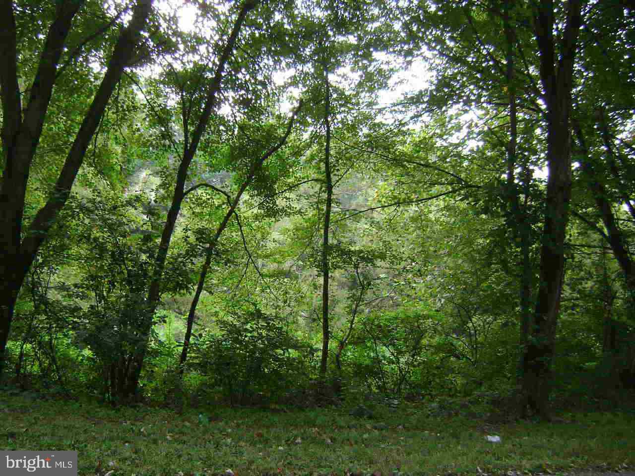 Lot 41 Bryansville Road Delta, PA 17314 - Photo 1 of 2 Gallery Image 1