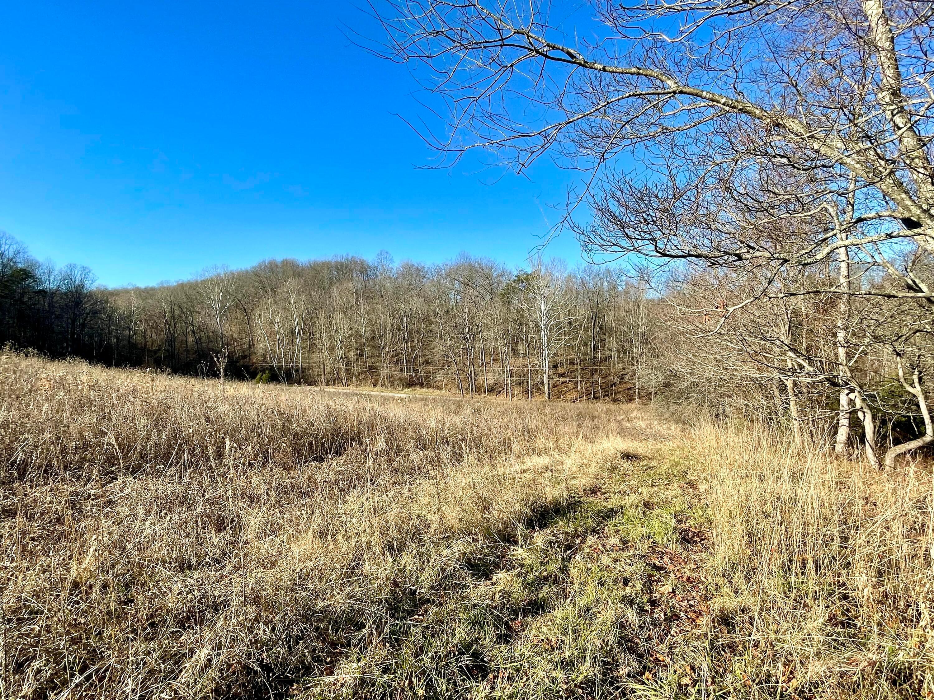 1368 Allen Road Beaver, OH 45613 - Photo 69 of 77 Meadow