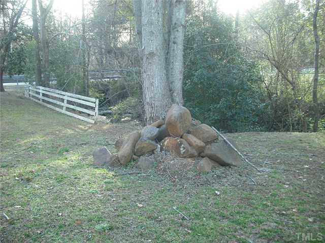 2209 Rock Quarry Road Raleigh, NC 27610 - Photo 23 of 25 a view of a forest with a tree