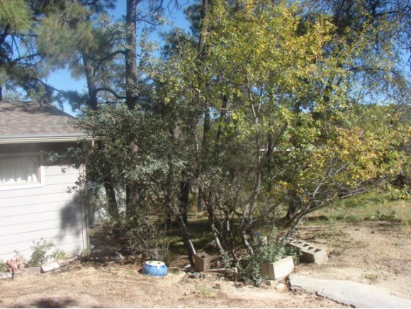 1171 Sunup Road Prescott, AZ 86303 - Photo 10 of 15 Additional Photo