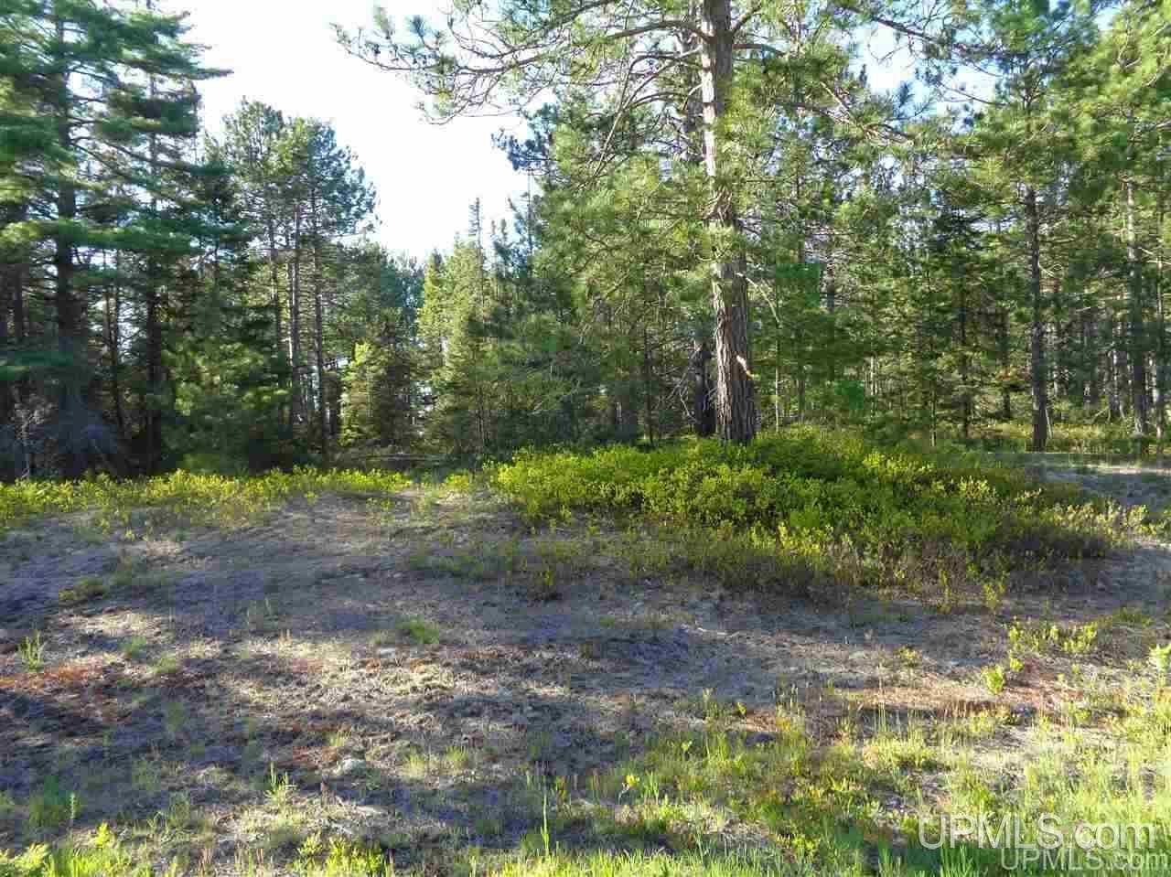 24 Little Rice Lk Road, Unit 24 Lake Linden, MI 49945 - Photo 2 of 4 Gallery Image 2