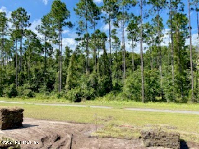 116 Hulett Wds Road Palm Coast, FL 32137 - Photo 3 of 35 IMG_9829