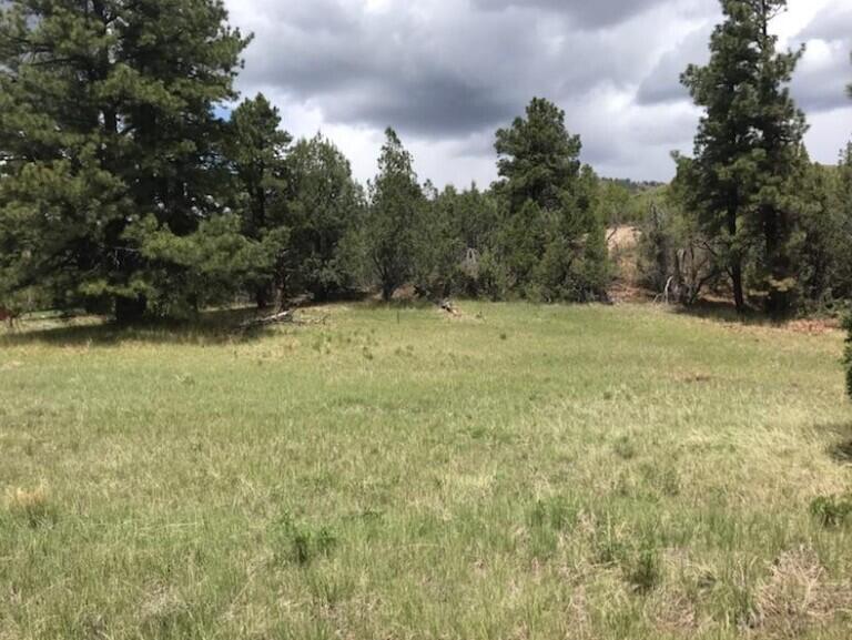 2655 East Cedar Drive, Unit 39 Springdale, UT 84767 - Photo 1 of 11 Screenshot 2026-04-07 083709