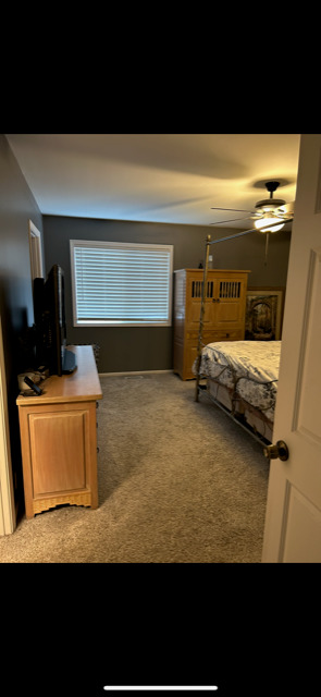 347 Thistle Drive Bolingbrook, IL 60490 - Photo 11 of 23 a living room with furniture