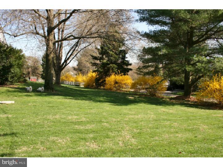 839 Byers Road Chester Springs, PA 19425 - Photo 22 of 25 Back Yard