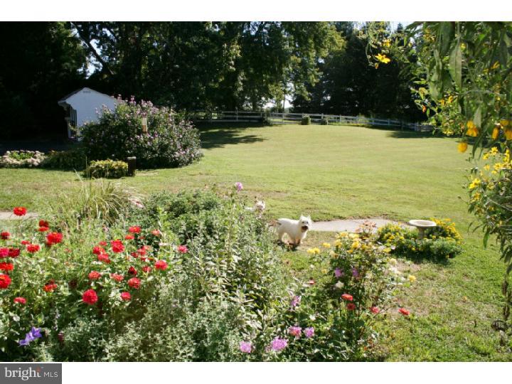 839 Byers Road Chester Springs, PA 19425 - Photo 23 of 25 Back Yard