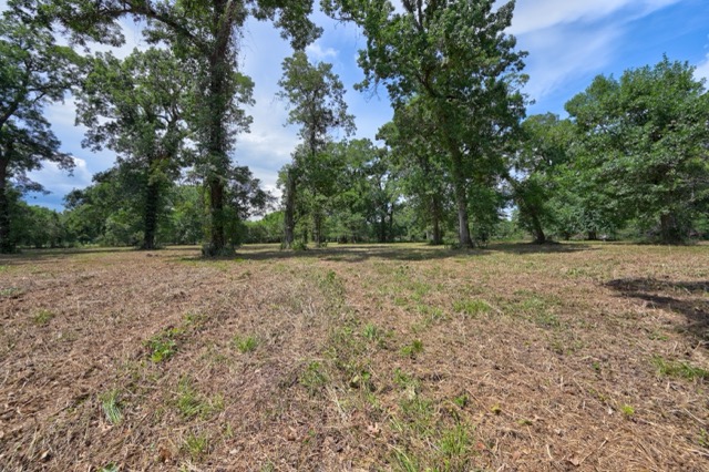 Tbd Pryor Road Brookshire, TX 77423 - Photo 17 of 31 Gallery Image 17