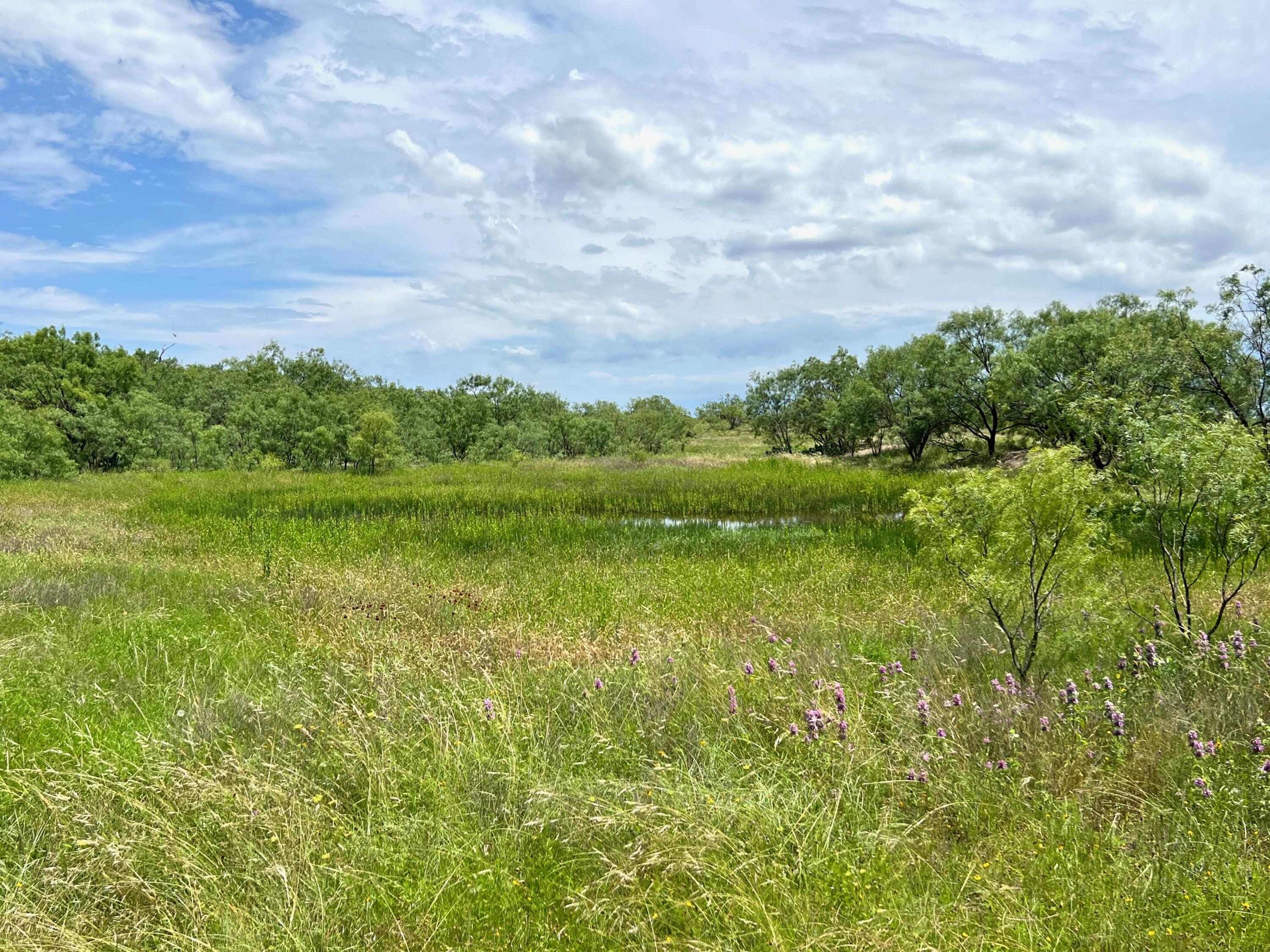 1818 County Road 267 Ballinger, TX 76821 - Photo 59 of 70 IMG_8613