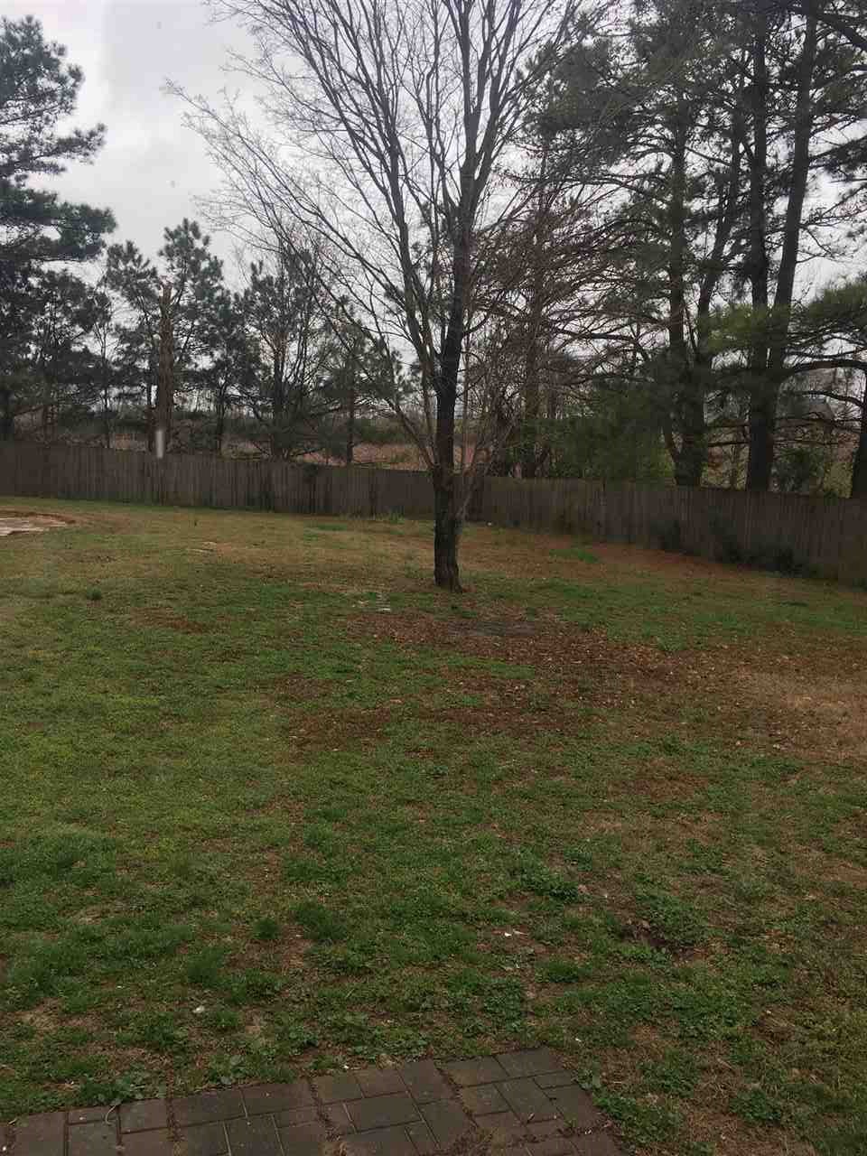 1548 Oil Mill Road Covington, TN 38019 - Photo 3 of 9 large privacy-fenced back yard