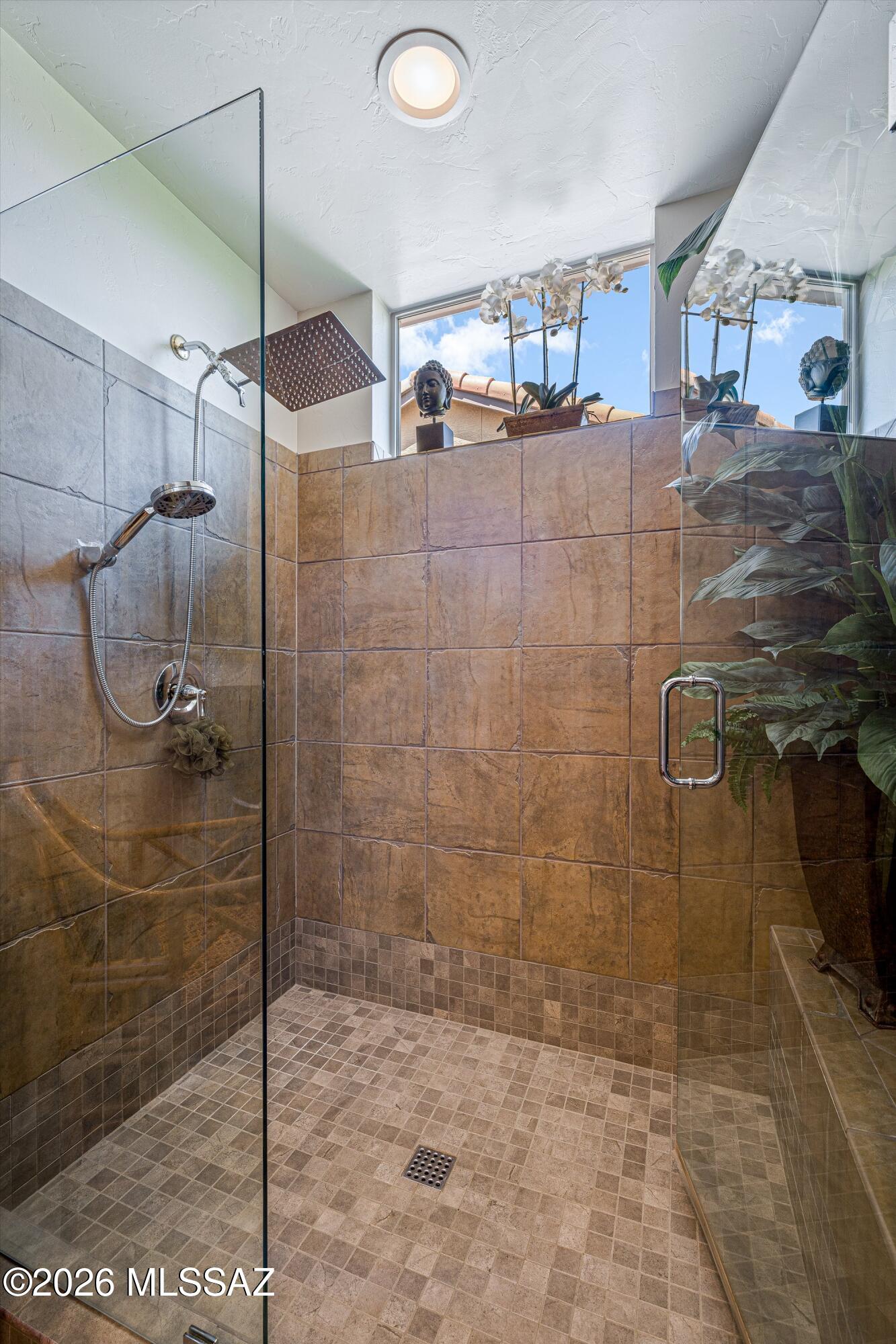 62486 East Northwood Road Tucson, AZ 85739 - Photo 29 of 50 Spacious Shower