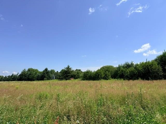 Lot 2 Tomato Road Ringle, WI 54471 - Photo 9 of 10