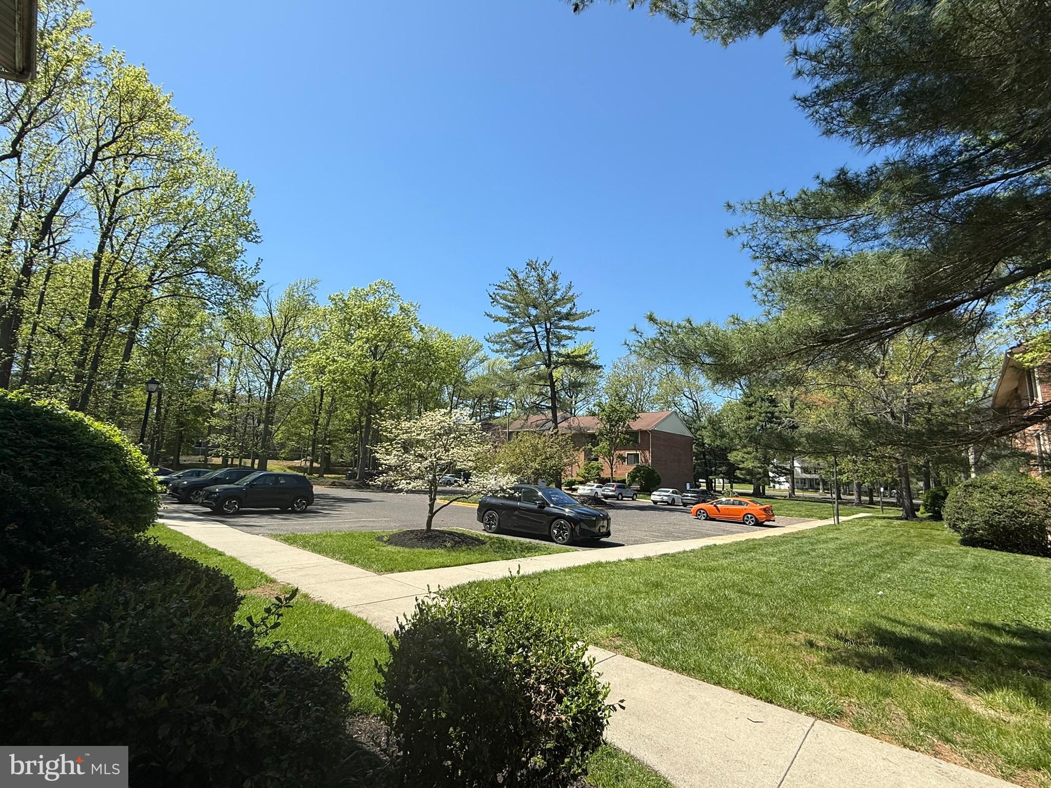 123 Echelon Road Voorhees, NJ 08043 - Photo 3 of 23 a view of a park with large trees