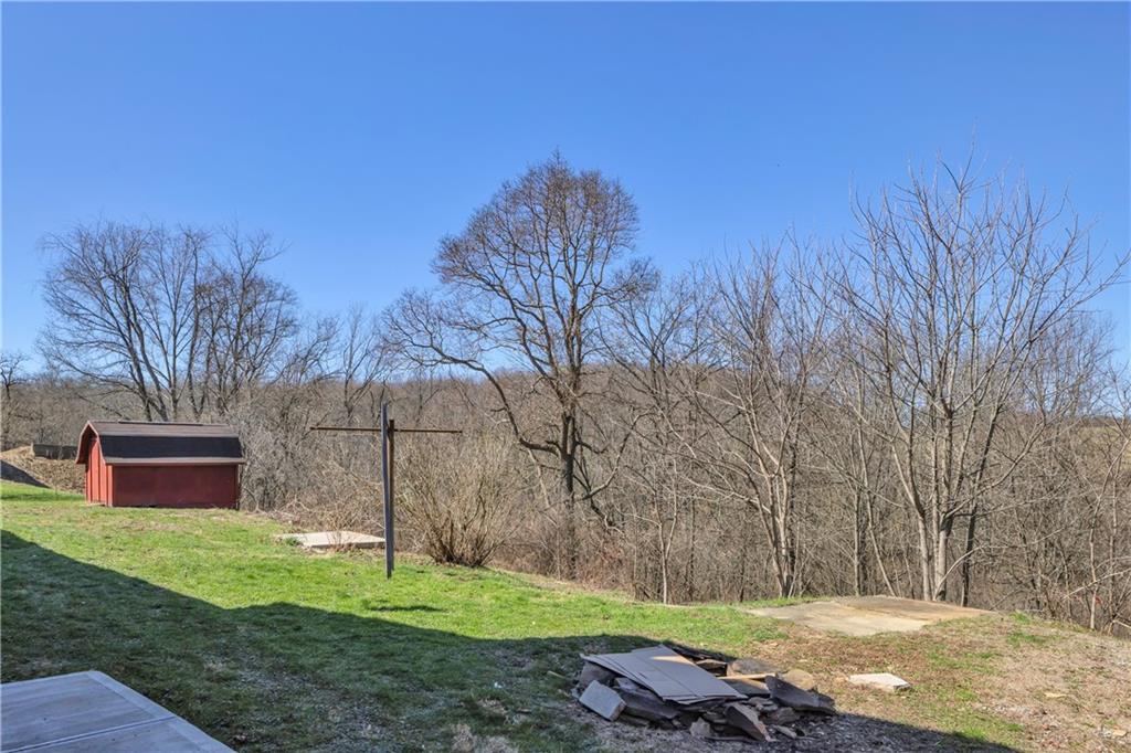 1060 Pittsburgh Road Valencia, PA 16059 - Photo 9 of 45 Backyard
