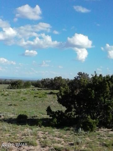 Lot 70 Red Sky Ranch St. Johns, AZ 85936 - Photo 2 of 8